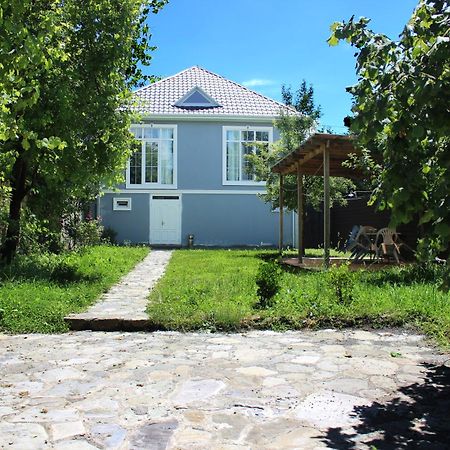 Soft Villa Gabala Exteriör bild